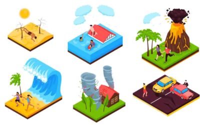 Términos, conceptos y agendas internacionales