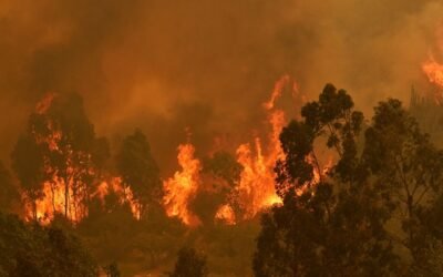 El Cambio Climático y los Incendios Forestales